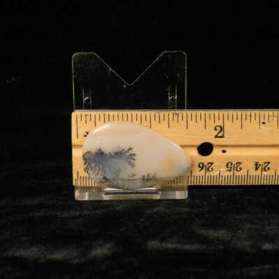 Dendritic Agate