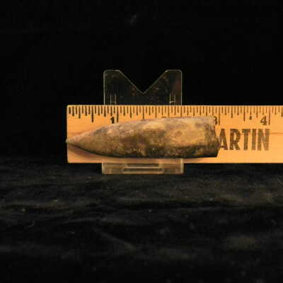Belemnite