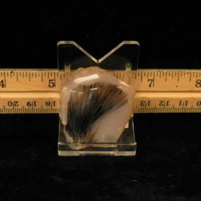 Quartz var. Agate (sagenite)