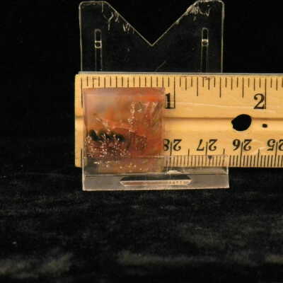 Plume Agate