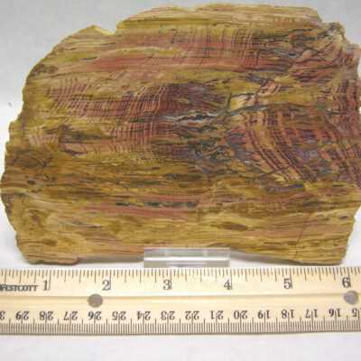 Limb Cast