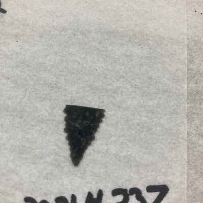 Projectile Point Fragment Distal