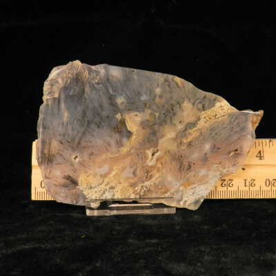 Quartz var. Agate (sagenite)