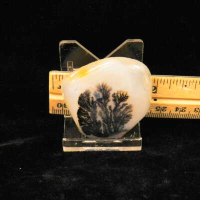 Dendritic Agate