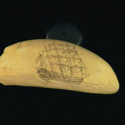 Scrimshaw