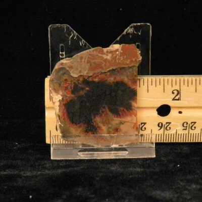 Plume Agate