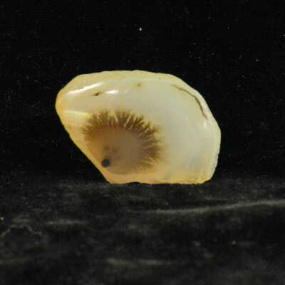 Quartz var. Agate