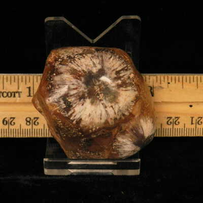 Quartz var. Agate (sagenite)