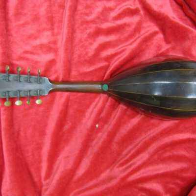 Lute 5