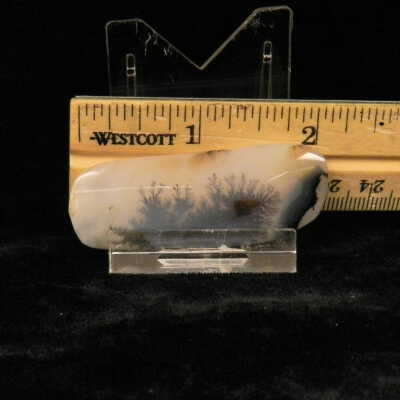 Dendritic Agate