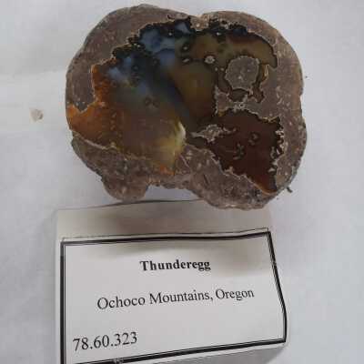 Thunderegg