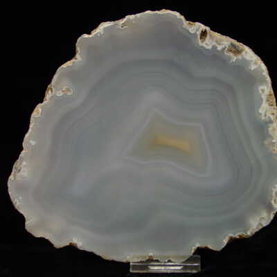 Limb Cast