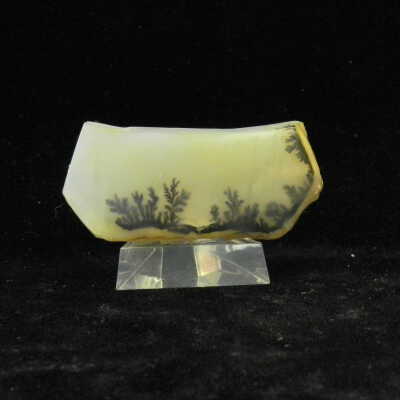 Quartz var. Agate