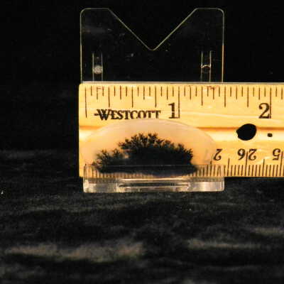 Dendritic Agate