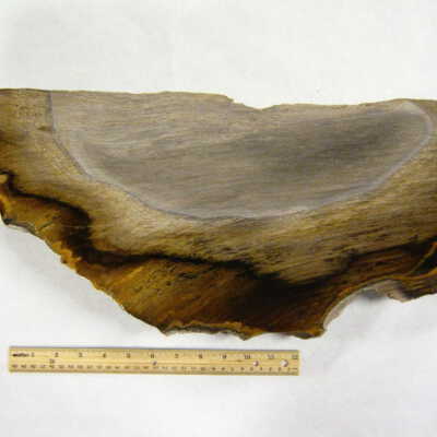 Oak