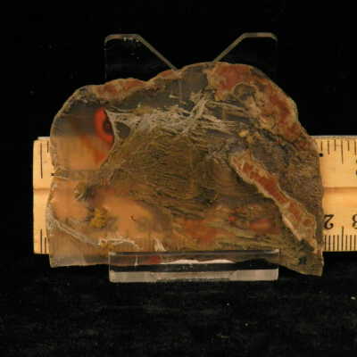 Quartz var. Agate (sagenite)