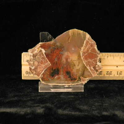 Plume Agate