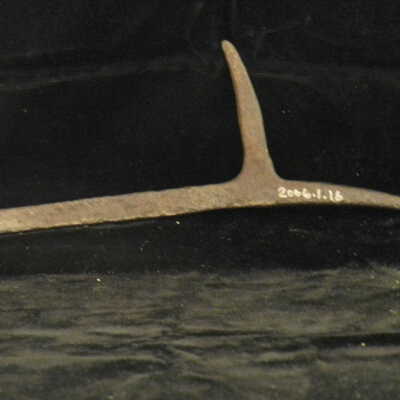 Scrimshaw