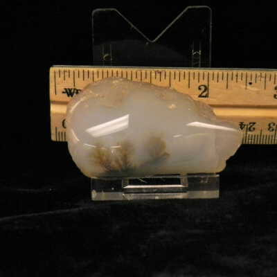 Dendritic Agate