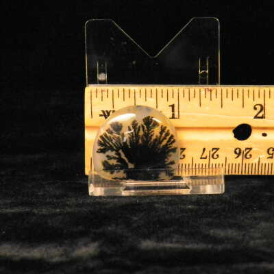 Dendritic Agate