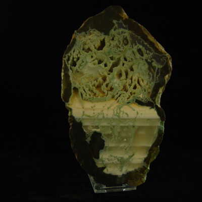 Thunderegg
