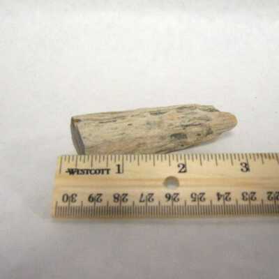 Limb Cast