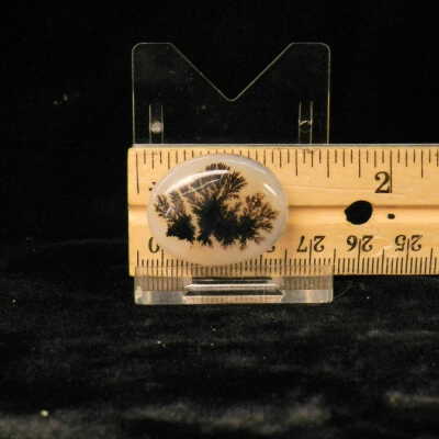 Dendritic Agate