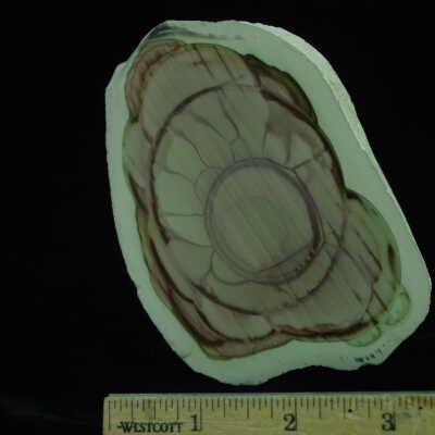 Imperial Jasper