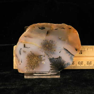 Dendritic Agate
