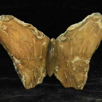 Quartz var. Agate