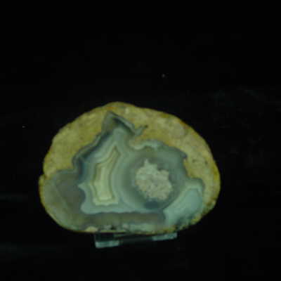 Thunderegg