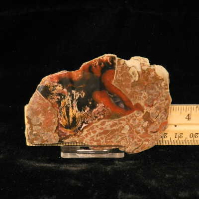 Plume Agate