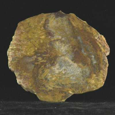 Quartz var. Agate