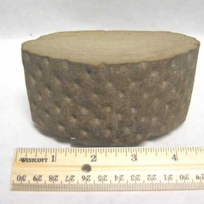 Limb Cast