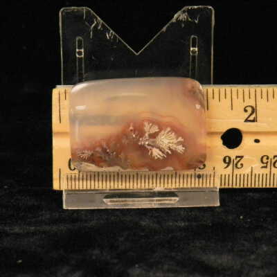 Plume Agate