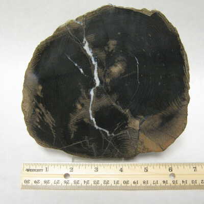 Pine