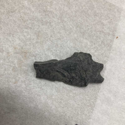 Projectile Point