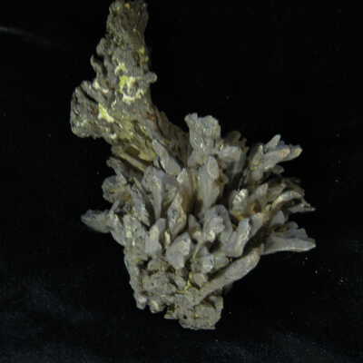 Dendritic Crystalline Silver