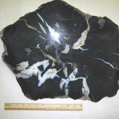 Limb Cast