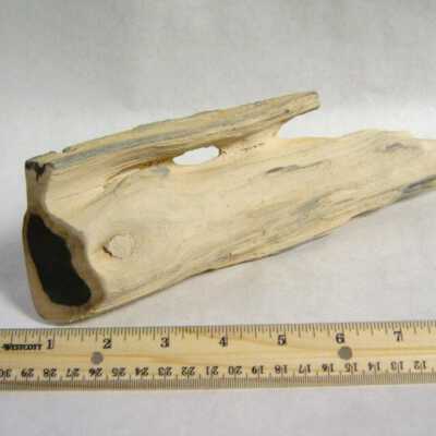 Limb Cast