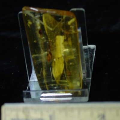 Amber