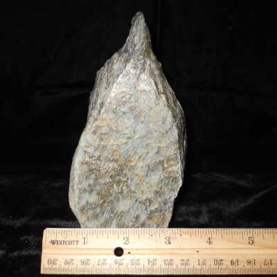 Serpentine