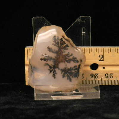 Dendritic Agate