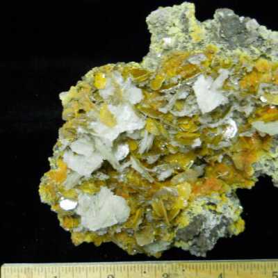 Wulfenite