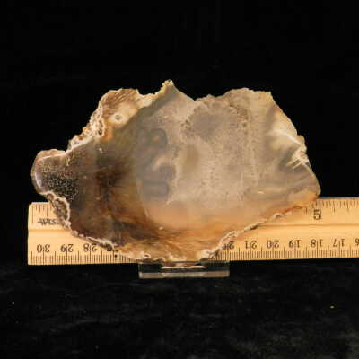 Quartz var. Agate (sagenite)