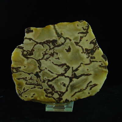 Medfordite (Agate)