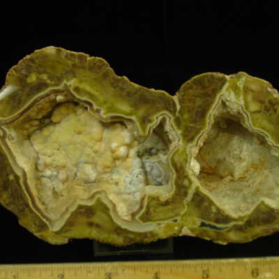 Thunderegg