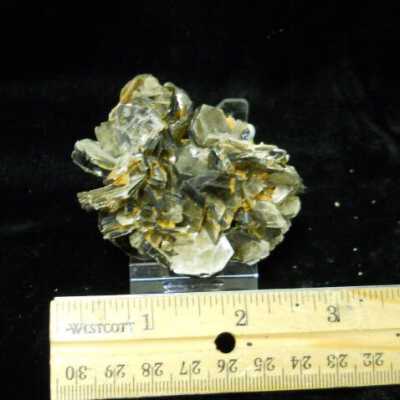 Muscovite