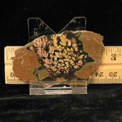 Plume Agate