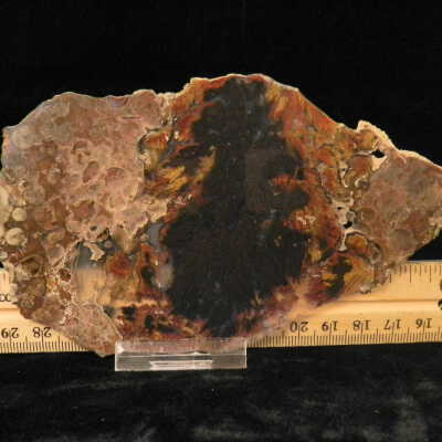 Plume Agate
